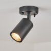 Corneda Buitenshuis plafond verlichting Zwart, 1-licht