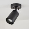 Corneda Buitenshuis plafond verlichting Zwart, 1-licht