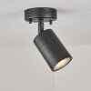 Corneda Buitenshuis plafond verlichting Zwart, 1-licht
