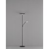FHL easy Fabi Staande lamp LED Zwart, 1-licht