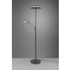 Trio Franklin Staande lamp LED Antraciet, 2-lichts