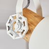 Orny Plafondlamp Wit, 3-lichts