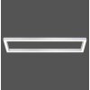 Paul Neuhaus PURE-LINES Plafondlamp LED Aluminium, 1-licht, Afstandsbediening
