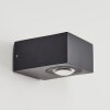 Curvel Buiten muurverlichting LED Zwart, 2-lichts