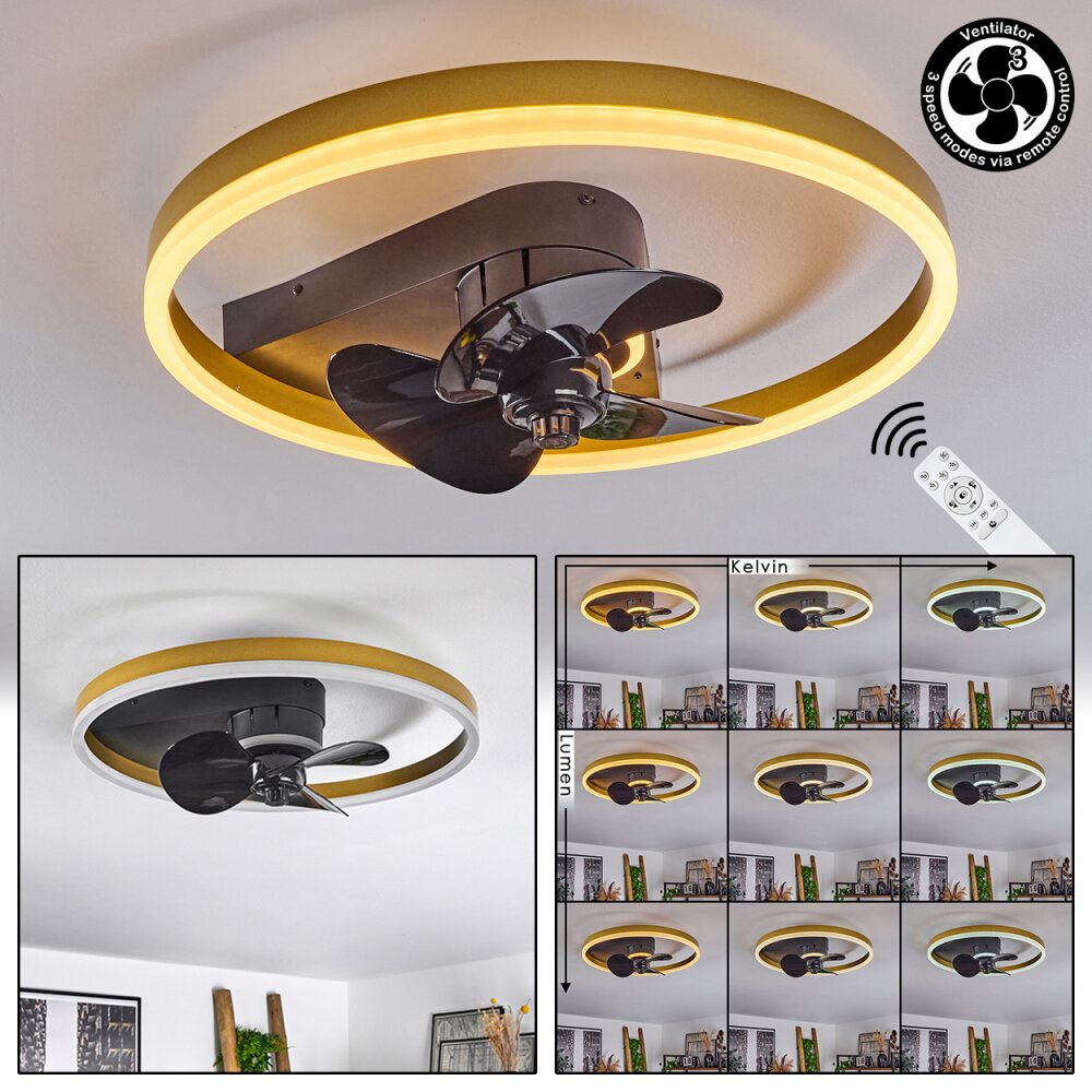 Oleiro plafondventilator LED Goud, Zwart, Wit, 1-licht, Afstandsbediening main product photo