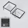 Burseryd Buiten muurverlichting LED Antraciet, Wit, 1-licht