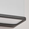 Burseryd Buiten muurverlichting LED Antraciet, Wit, 1-licht