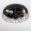 Moscavide plafondventilator Messing, Zwart, 4-lichts, Afstandsbediening