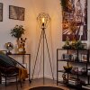 Bardhaman Staande lamp Zwart, 1-licht