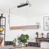 Blandford Hanglamp LED Zwart, 1-licht, Afstandsbediening, Kleurwisselaar