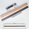 Blandford Hanglamp LED Zwart, 1-licht, Afstandsbediening, Kleurwisselaar
