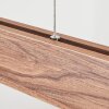 Blandford Hanglamp LED Zwart, 1-licht, Afstandsbediening, Kleurwisselaar