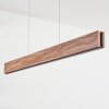 Blandford Hanglamp LED Zwart, 1-licht, Afstandsbediening, Kleurwisselaar