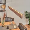 Blandford Hanglamp LED Zwart, 1-licht, Afstandsbediening, Kleurwisselaar