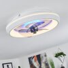 Tirkkala plafondventilator LED, 1-licht