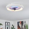 Tirkkala plafondventilator LED, 1-licht