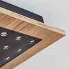 Ramilos Plafondlamp LED Natuurlijke kleuren, Zwart, 1-licht