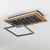 Ramilos Plafondlamp LED Natuurlijke kleuren, Zwart, 1-licht