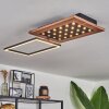 Ramilos Plafondlamp LED Natuurlijke kleuren, Zwart, 1-licht