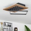Ramilos Plafondlamp LED Natuurlijke kleuren, Zwart, 1-licht