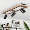 Sequeira Plafondlamp Bruin, Chroom, Zwart, Wit, 3-lichts