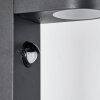 Kingstown Padverlichting Antraciet, 1-licht, Bewegingsmelder