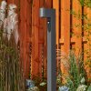 Kingstown Padverlichting Antraciet, 1-licht, Bewegingsmelder