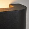Kirkhall Buiten muurverlichting LED Zwart, 1-licht