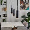 Dalheim Hanglamp LED Zwart, 3-lichts