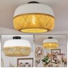 Isisford Plafondlamp Zwart, 1-licht
