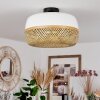Isisford Plafondlamp Zwart, 1-licht