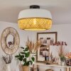Isisford Plafondlamp Zwart, 1-licht