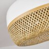 Isisford Plafondlamp Zwart, 1-licht