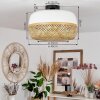 Isisford Plafondlamp Zwart, 1-licht