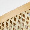 Isisford Plafondlamp Zwart, 1-licht