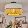 Isisford Plafondlamp Zwart, 1-licht