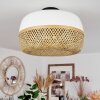 Isisford Plafondlamp Zwart, 1-licht