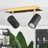 Zuoz Plafondlamp Goud, 2-lichts