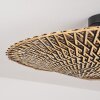 Shelbourne Plafondlamp Zwart, 1-licht