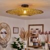 Shelbourne Plafondlamp Zwart, 1-licht