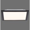 Leuchten-Direkt FLAT Plafondlamp LED Zwart, 1-licht