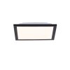 Leuchten-Direkt FLAT Plafondlamp LED Zwart, 1-licht
