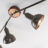 Leuchten-Direkt SWAMP Plafondlamp Natuurlijke kleuren, 4-lichts