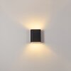Vion Muurlamp Zwart, 2-lichts