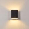 Vion Muurlamp Zwart, 2-lichts