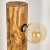 Canedo Staande lamp Natuurlijke kleuren, Zwart, 4-lichts