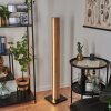 Kyneton Staande lamp LED Natuurlijke kleuren, Zwart, 1-licht