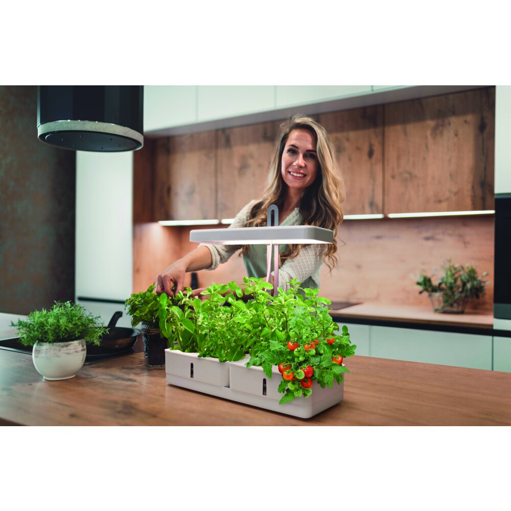 LEDVANCE Indoor Garden Tafellamp Wit, 1-licht main product photo