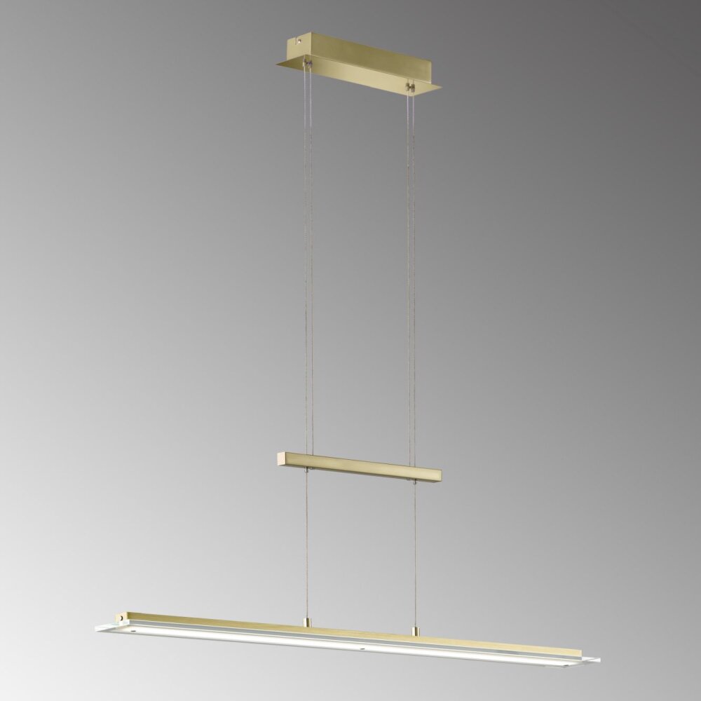 Fischer & Honsel Tenso TW Hanglamp LED Messing, 1-licht main product photo