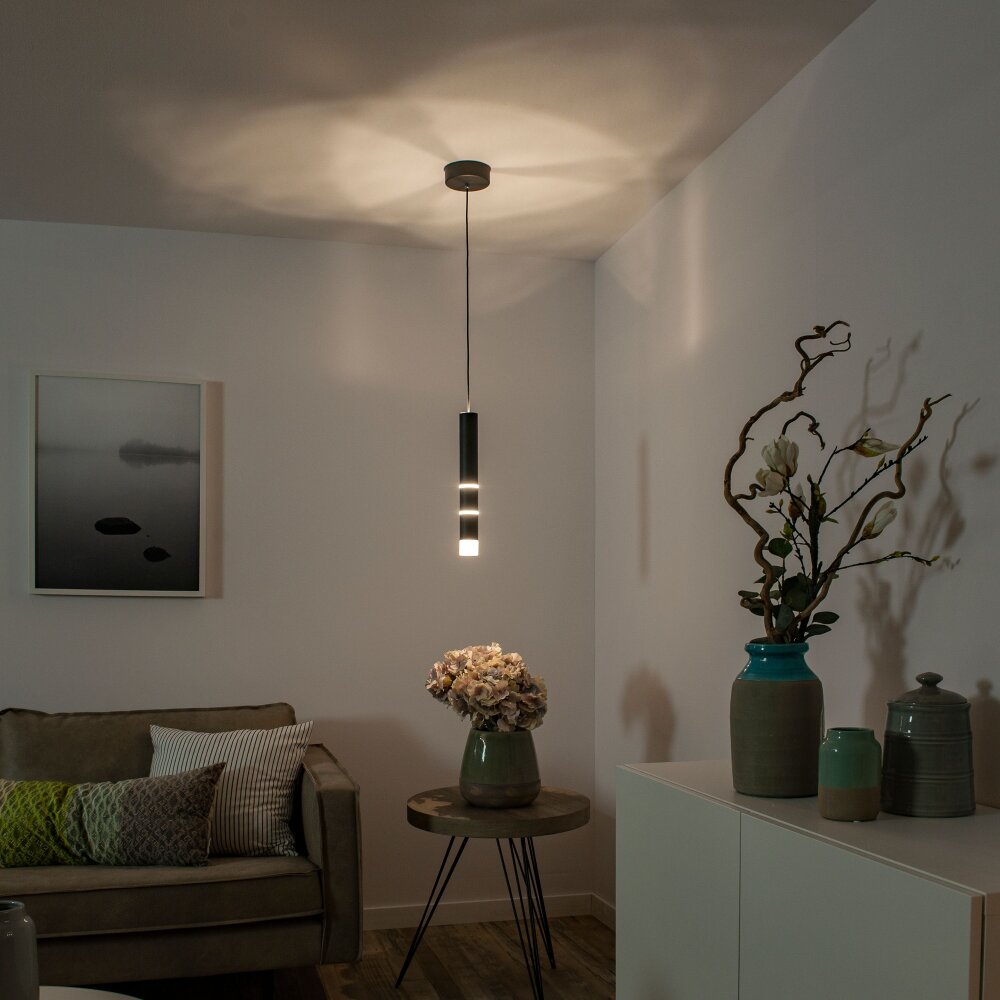 Paul-Neuhaus PURE-VEGA Hanglamp LED Zwart, 3-lichts main product photo